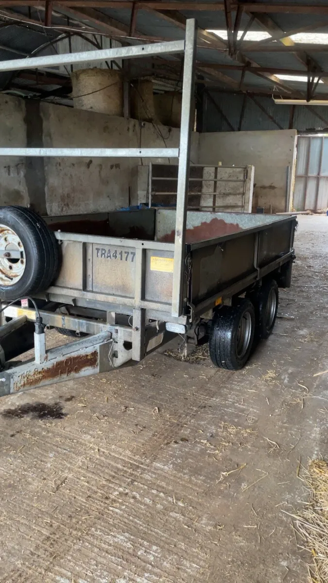 Ifor Williams 8x5 - Image 3