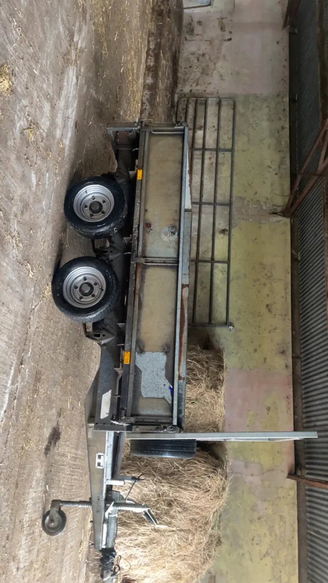 Ifor Williams 8x5 - Image 2