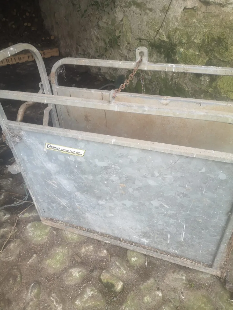 Calf Dehorning crate - Image 1