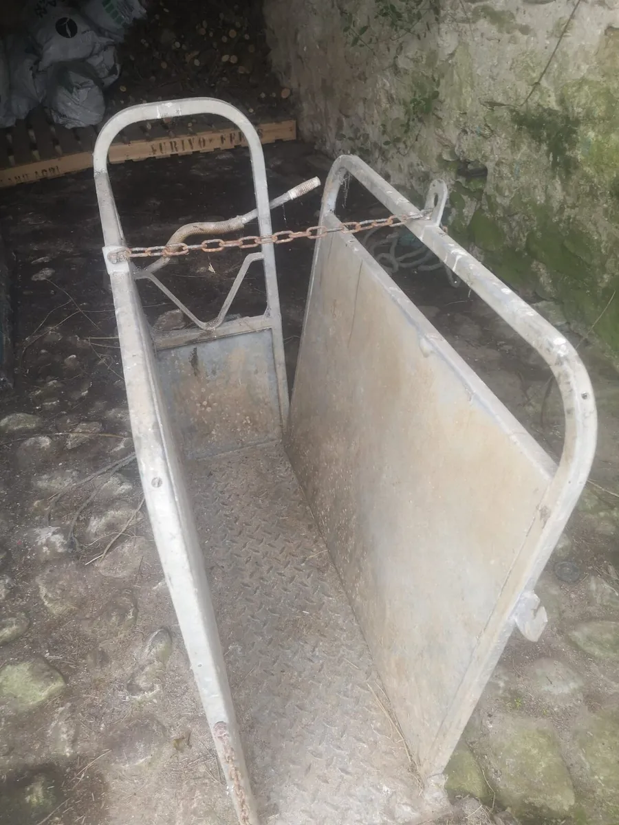 Calf Dehorning crate - Image 2