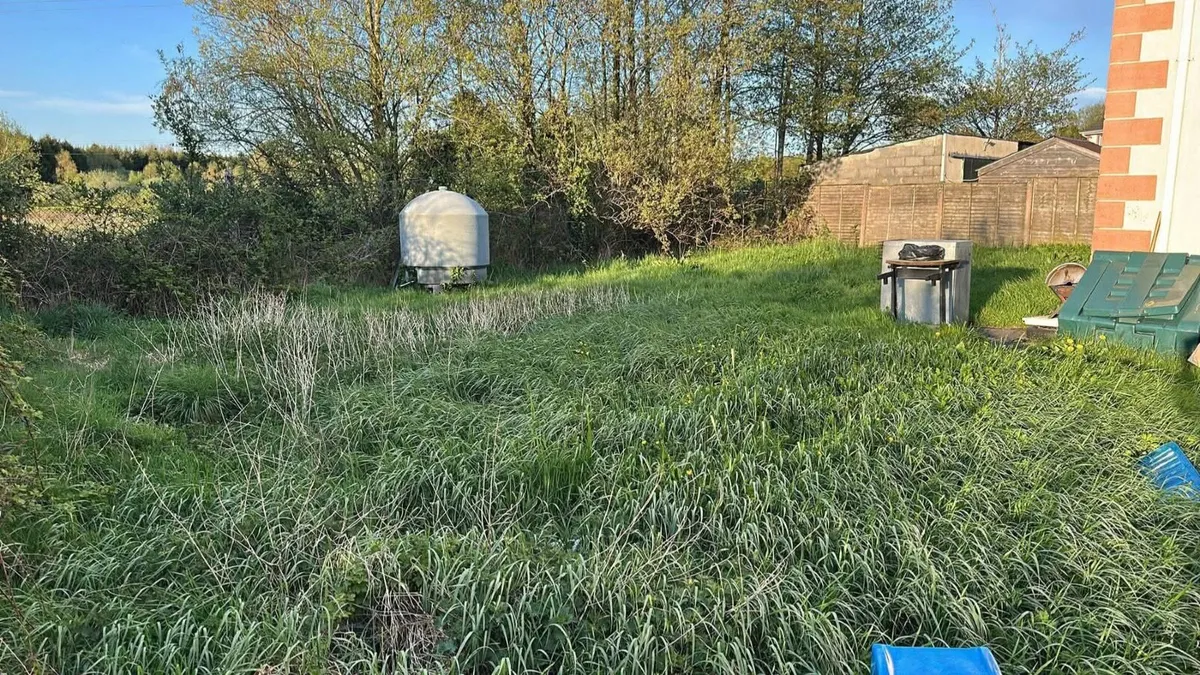 If anyone is looking to get there grass cut in Lon