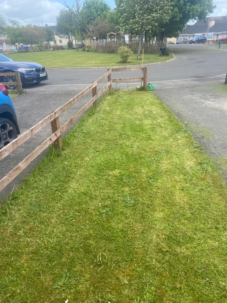 If anyone is looking to get there grass cut in Lon - Image 1