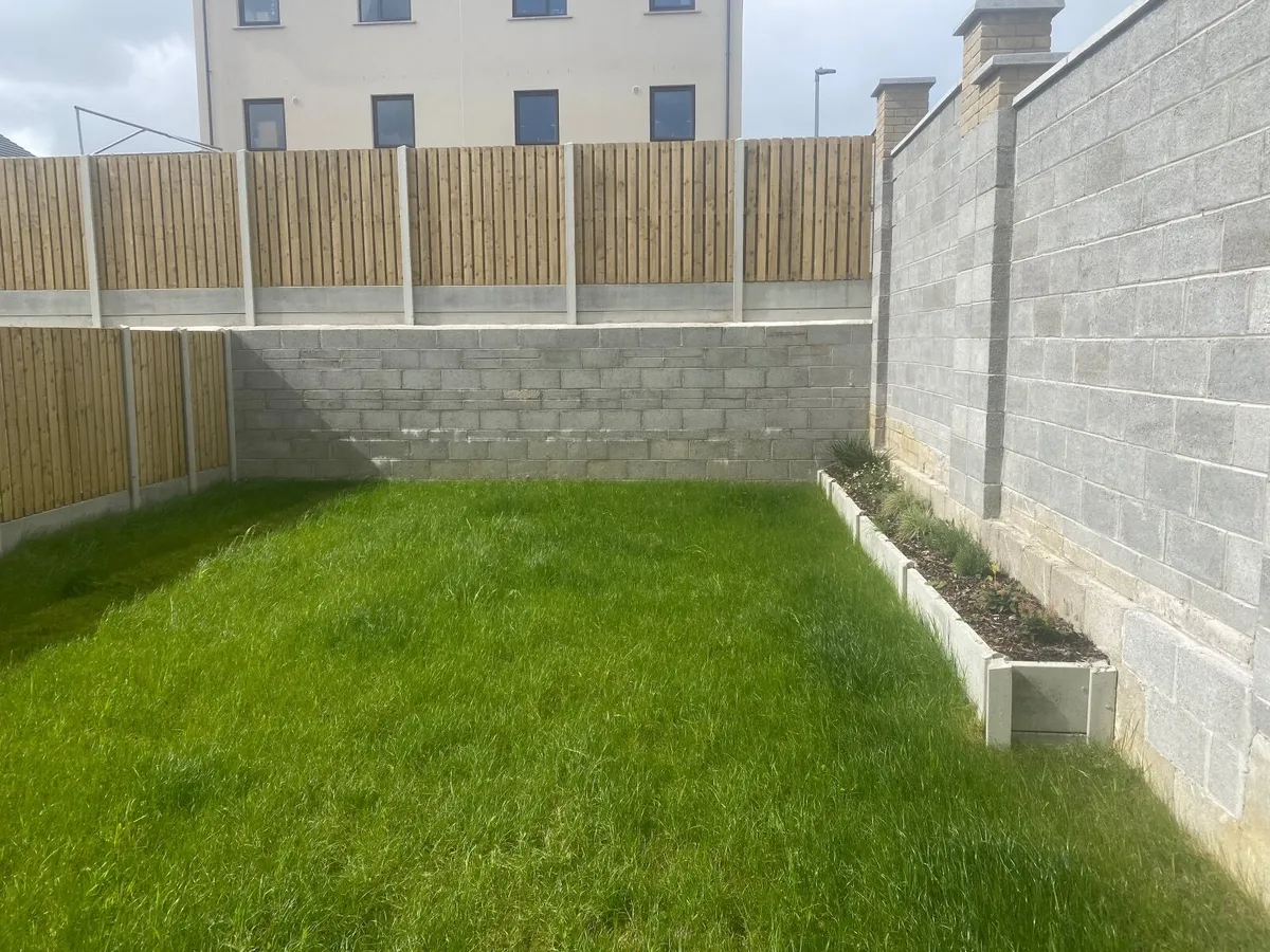 If anyone is looking to get there grass cut in Lon - Image 3