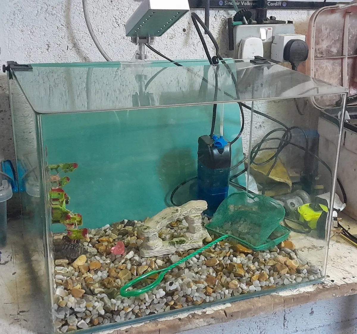 Fish Tank