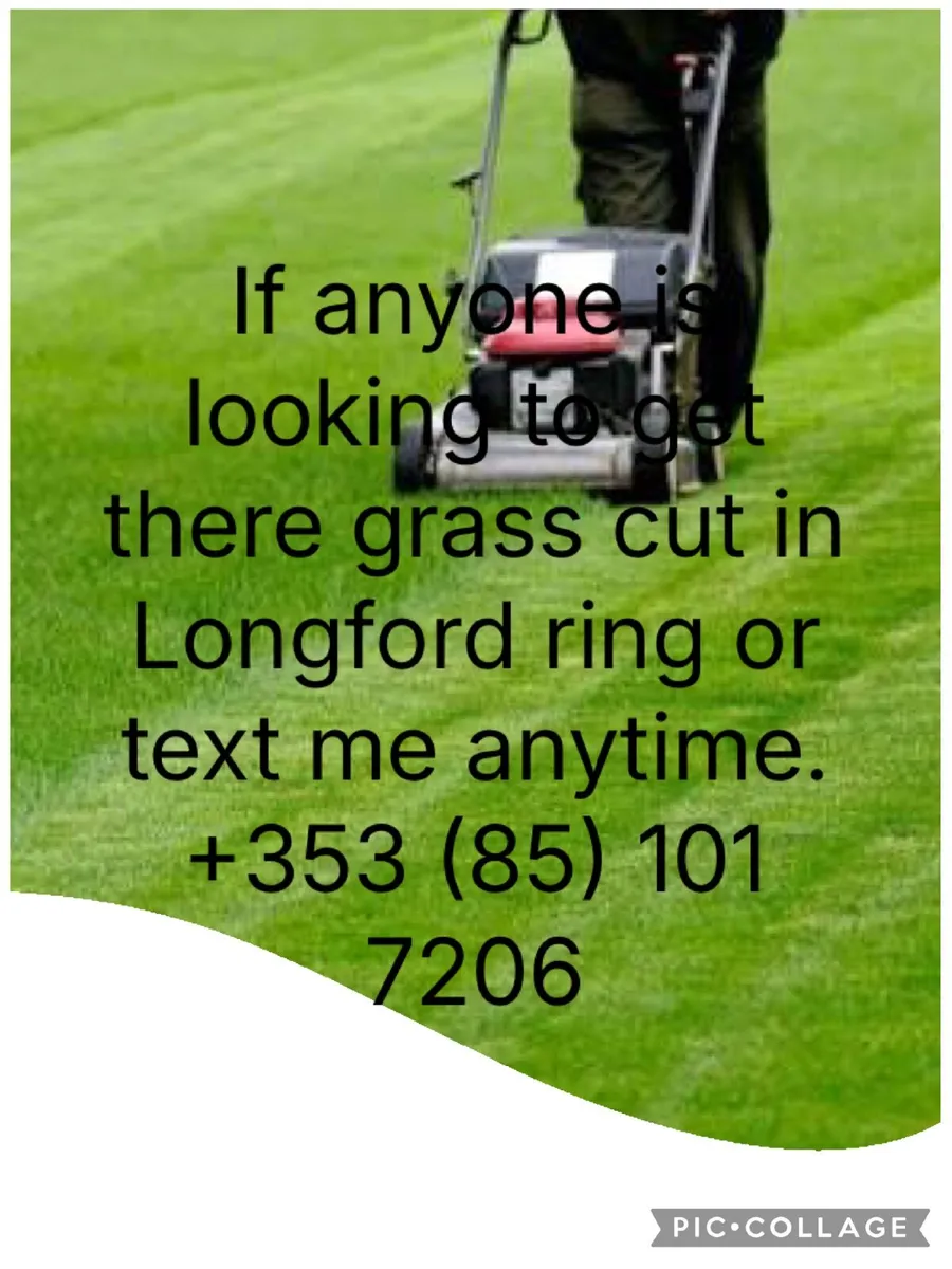 If anyone is looking to get there grass cut in Lon - Image 4