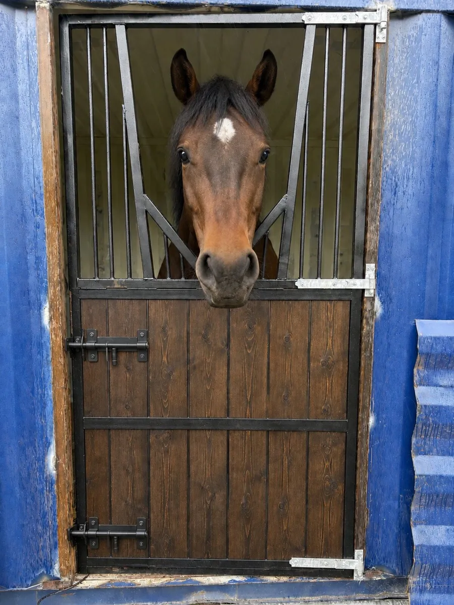 Stable door gates