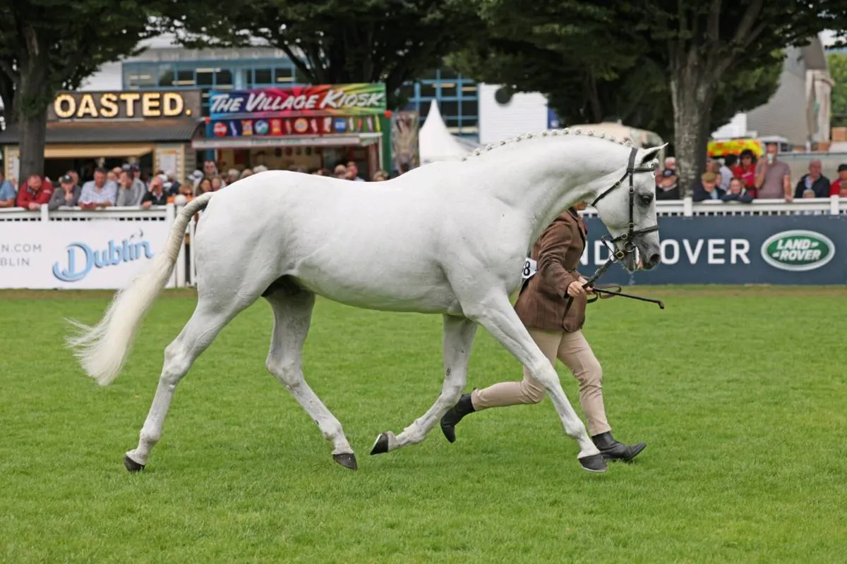 Centennial at stud - Image 4
