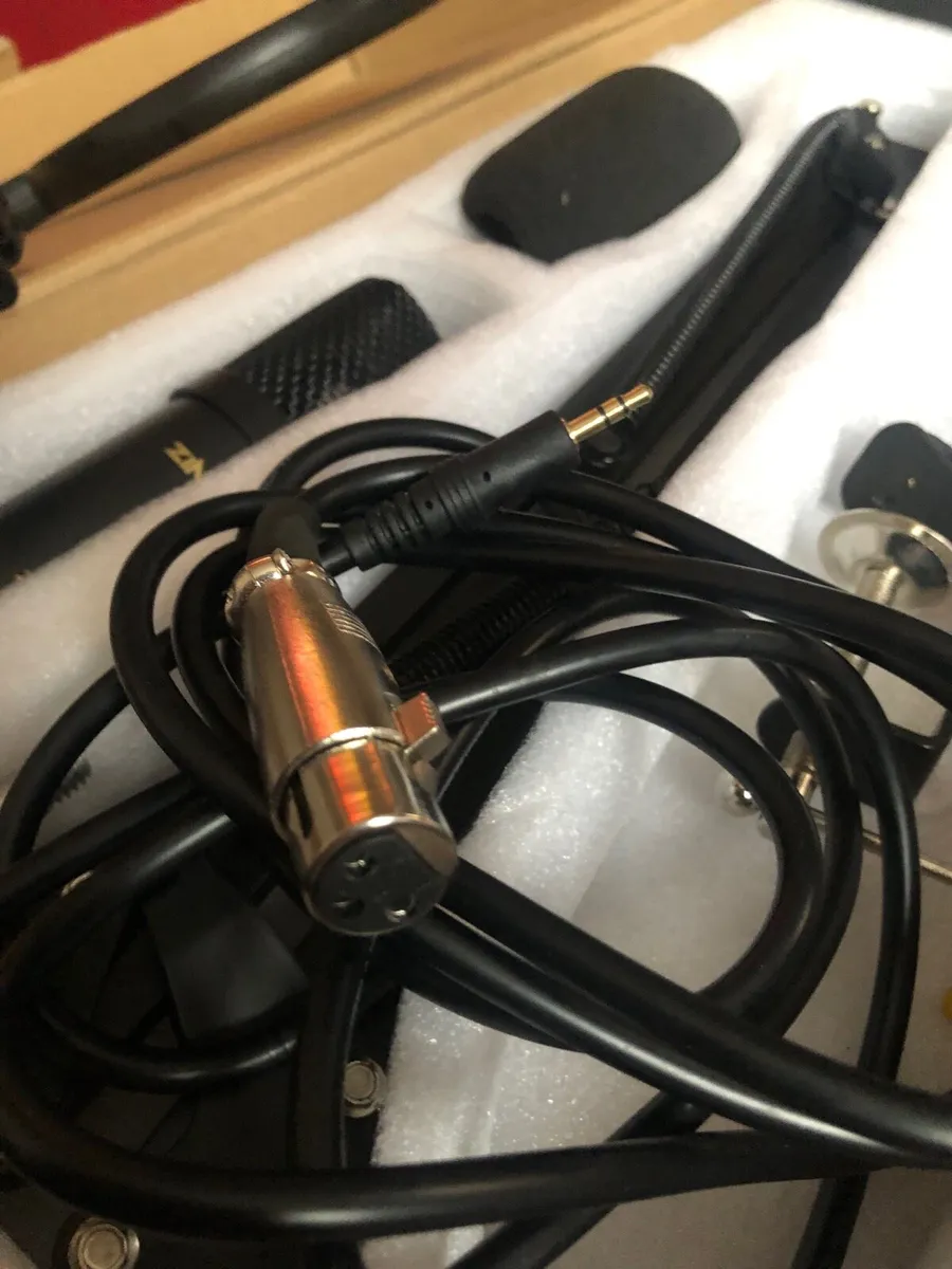 Pro Microphone - Image 3