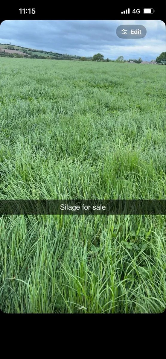 Silage