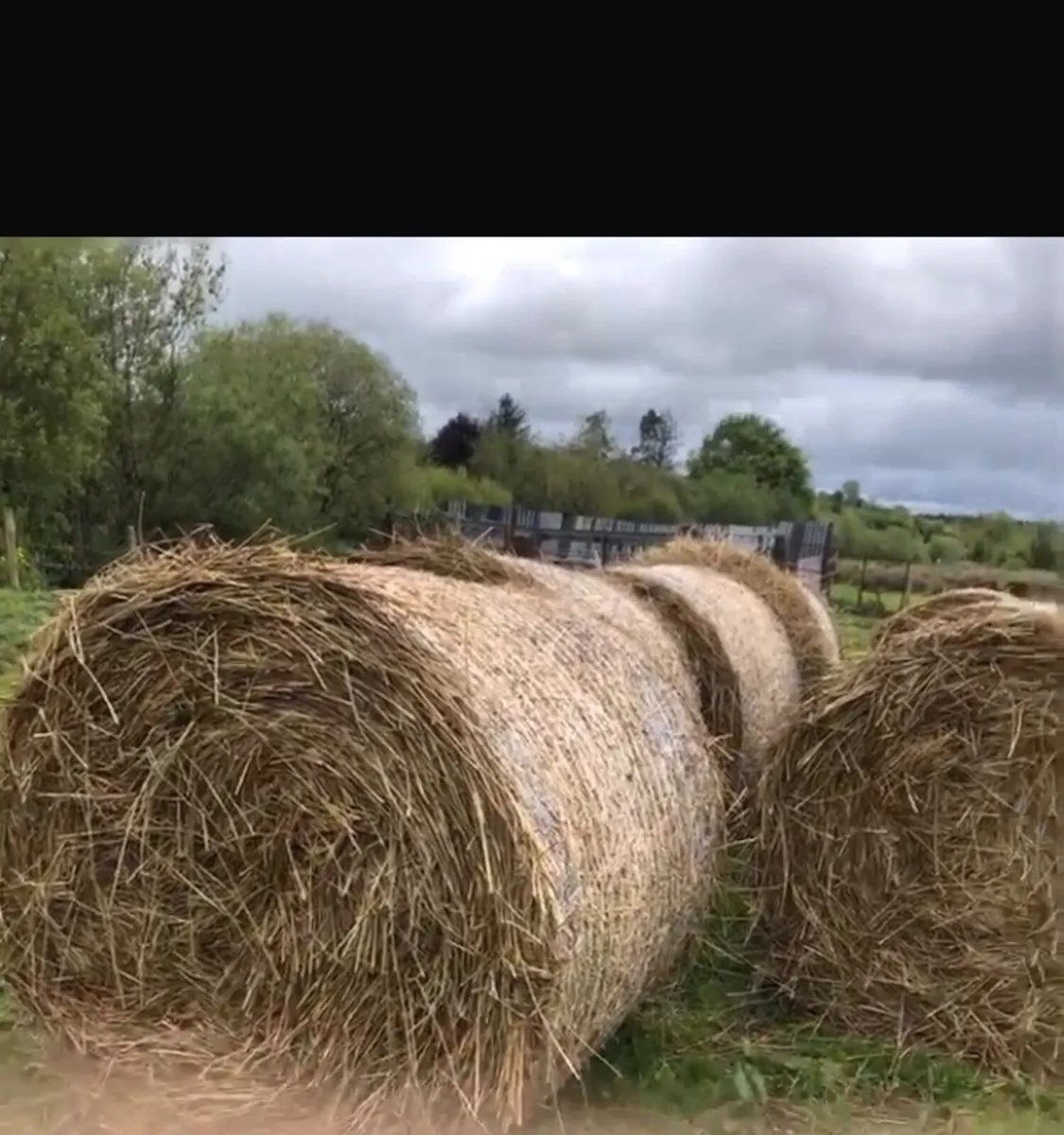 Bales of hay - Image 2