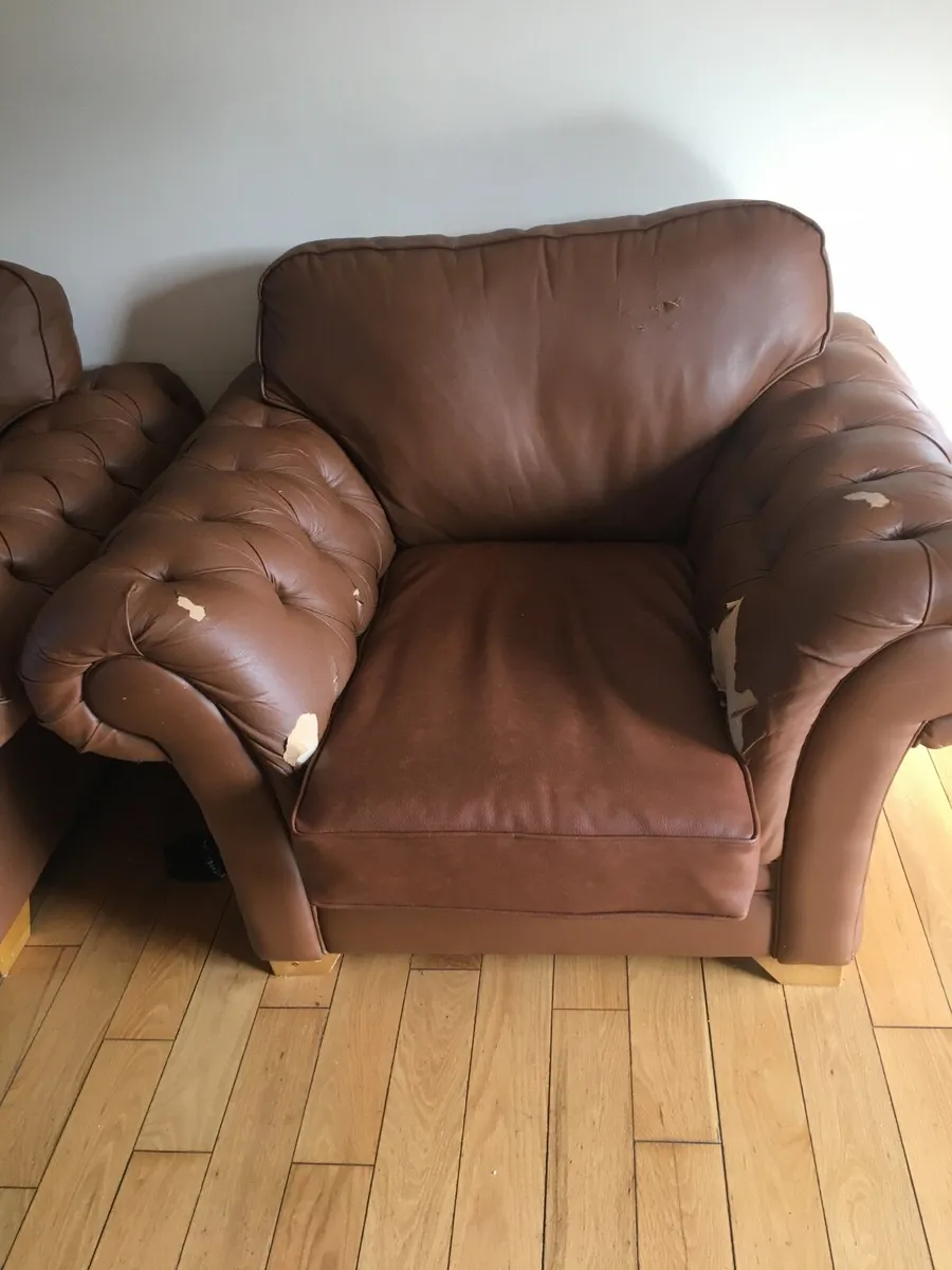 Sofa - Image 1