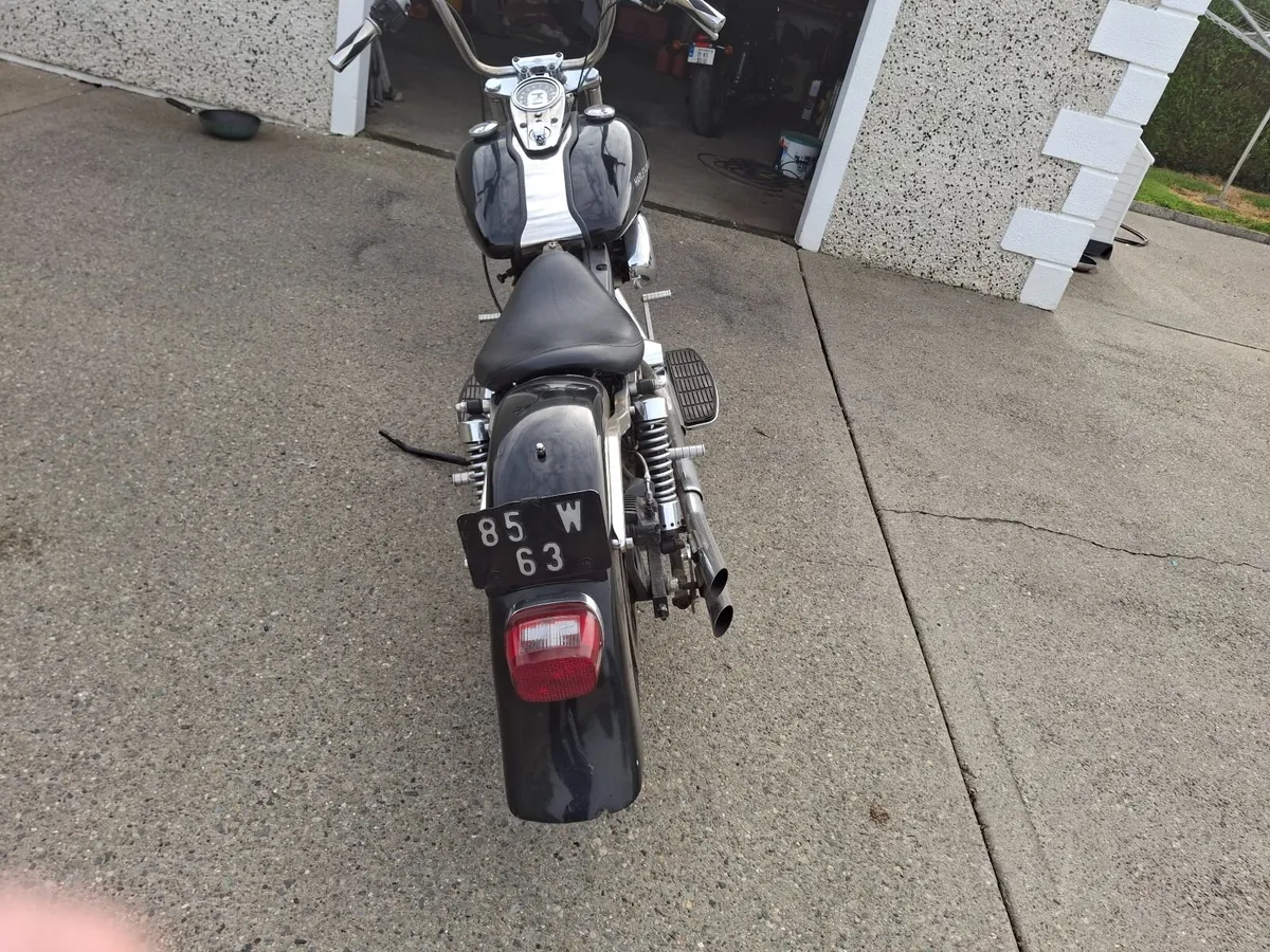 Harley - Image 2