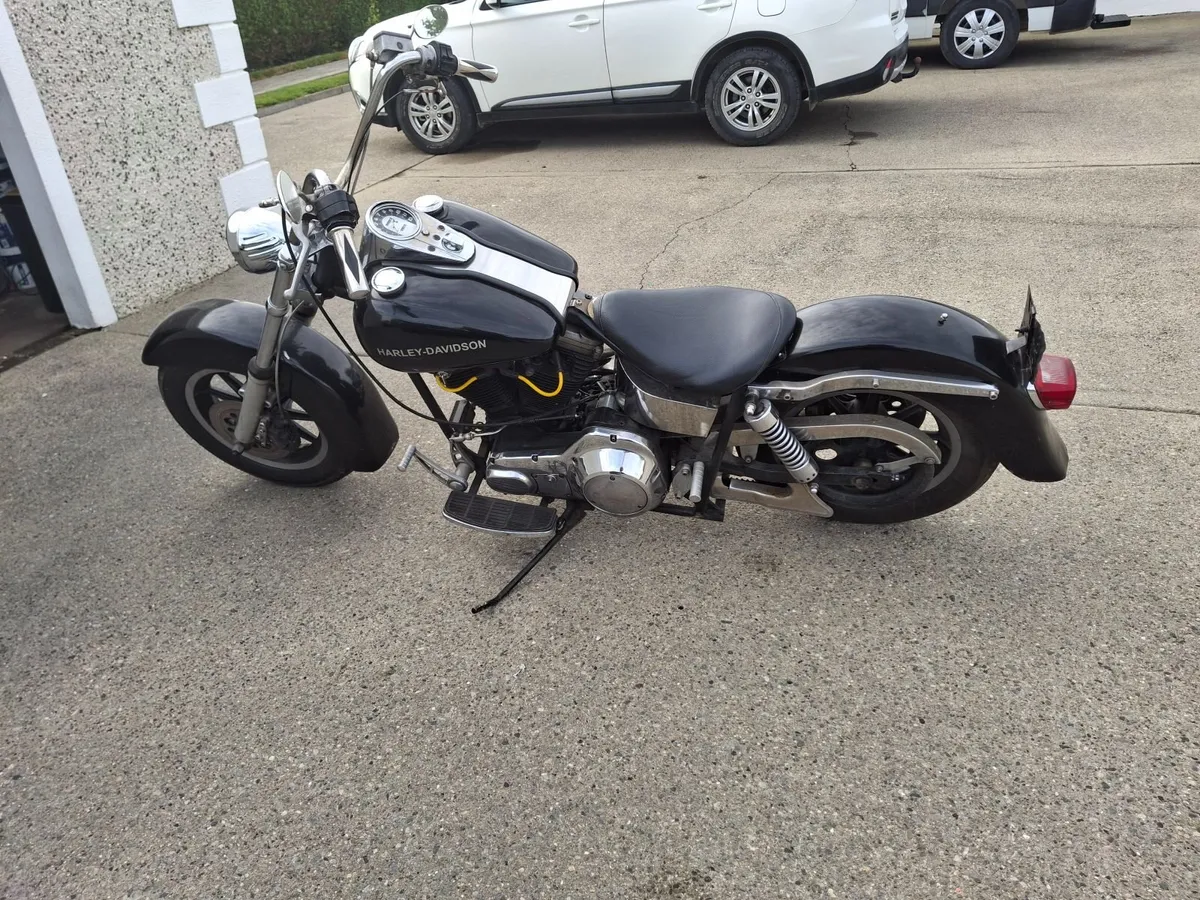 Harley - Image 1