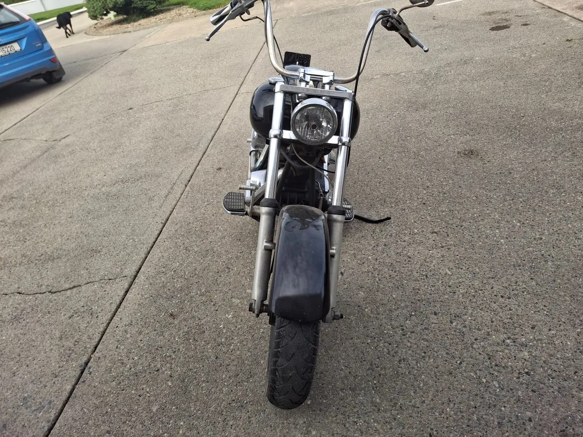 Harley - Image 4