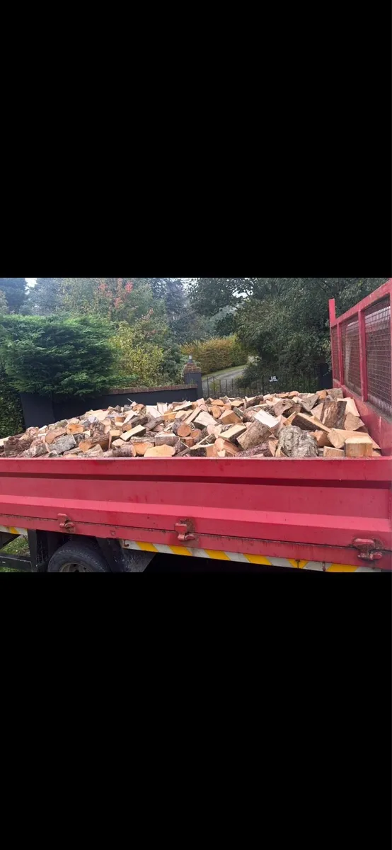 Seasoned Hardwood Logs - Image 3