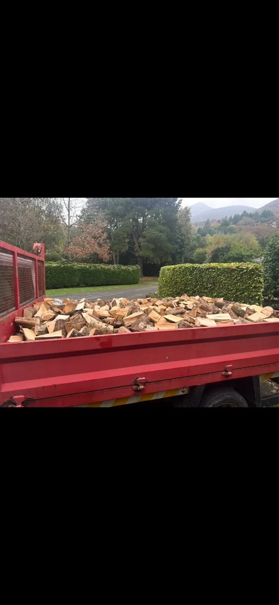 Seasoned Hardwood Logs - Image 1