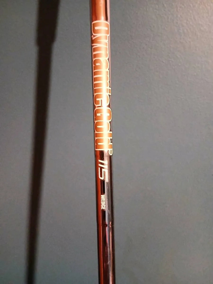 Cbx2 - Image 4