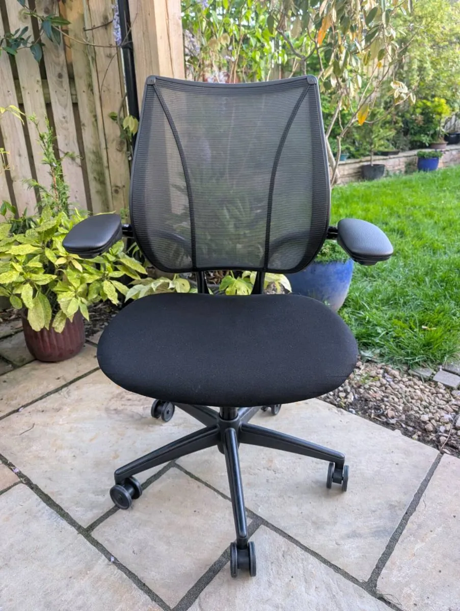 Ergonomic office chair - Image 1