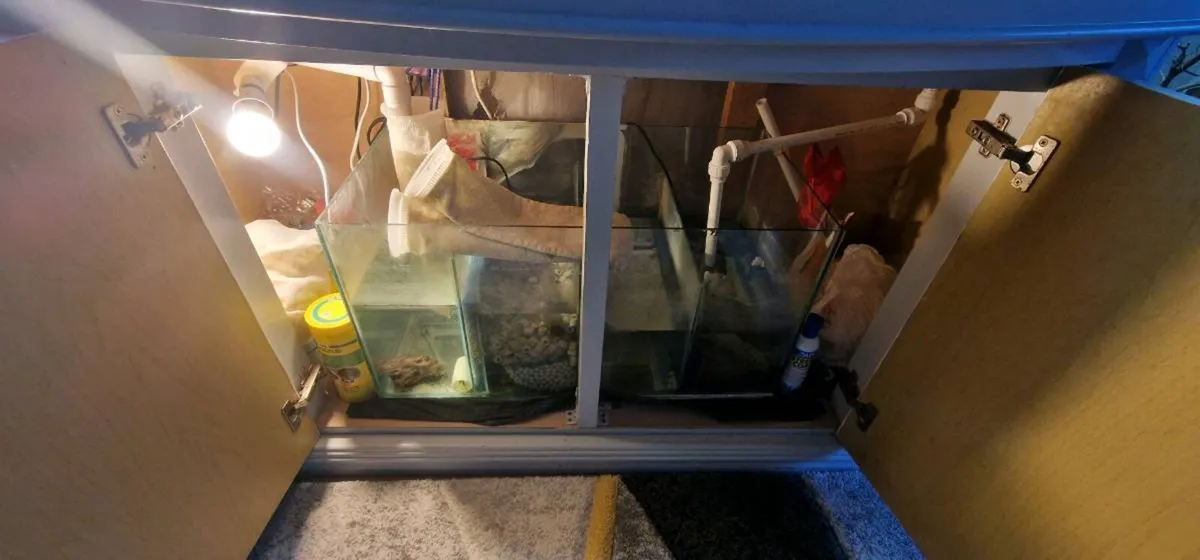 Aquarium - Image 4