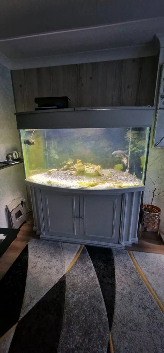 Aquarium - Image 3