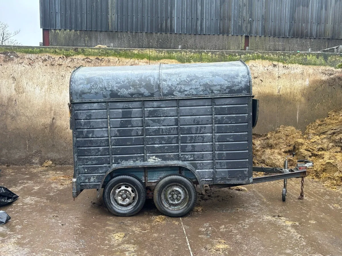 8x4 trailer - Image 1