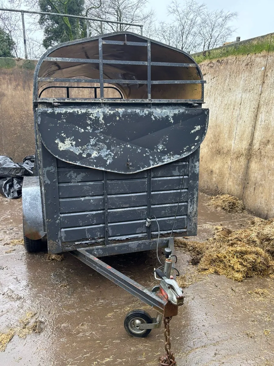 8x4 trailer - Image 3