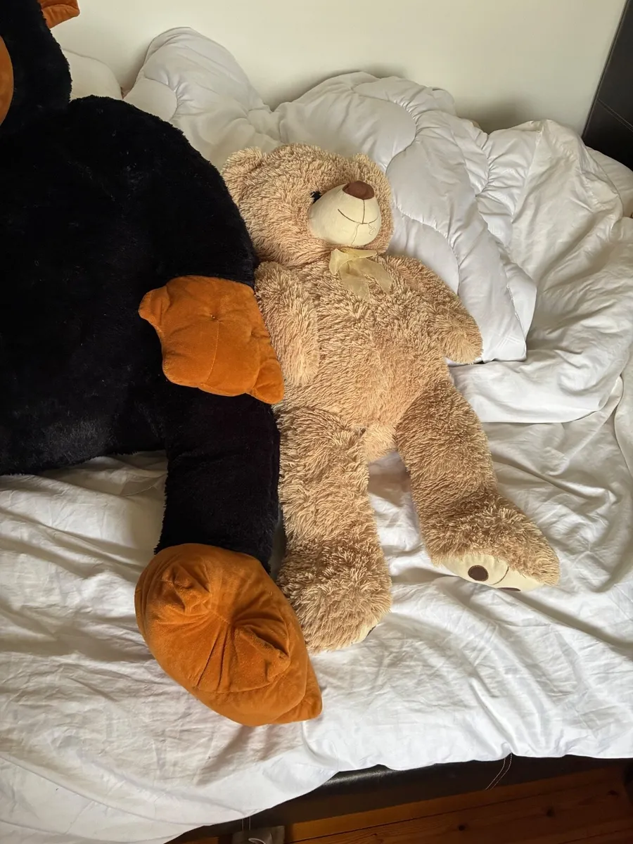 Teddy bear - Image 2