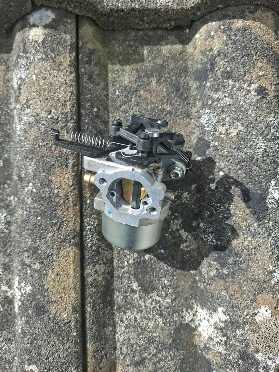 briggs  and  stratton  carburetor - Image 1