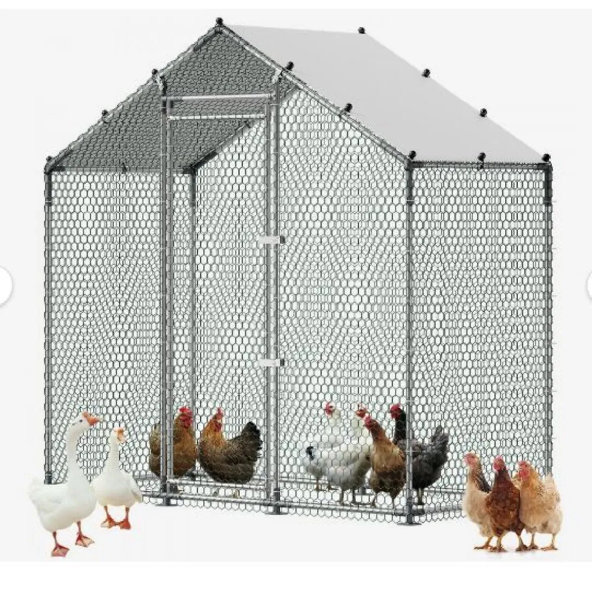 Large Metal Chicken Coop, 2 x 1 x 2 m - Image 1