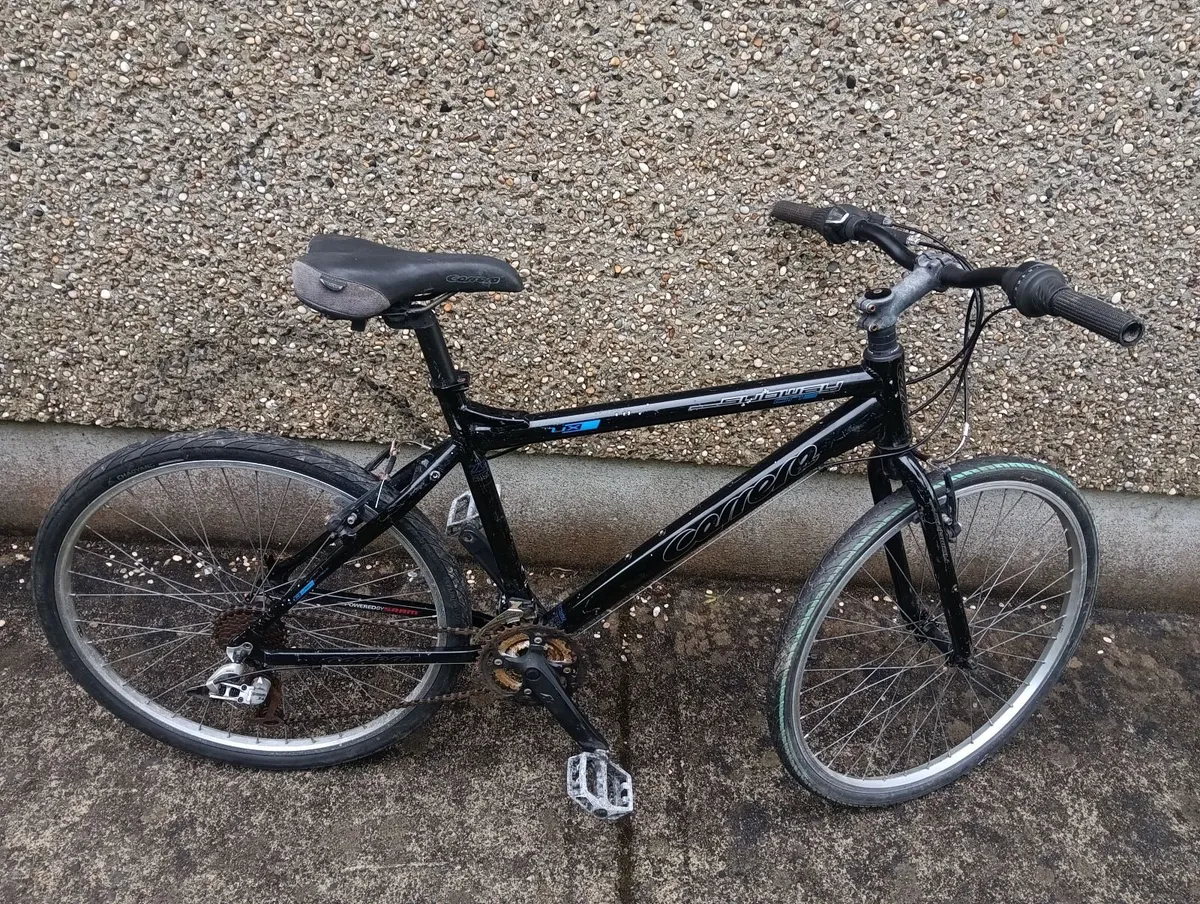 Carerra mountain bike - Image 3