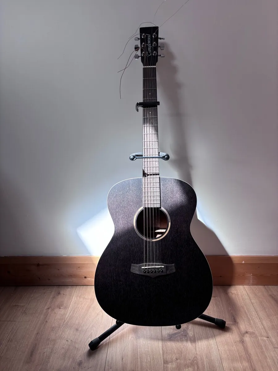 Tanglewood Blackwood Acoustic Guitar - Image 1