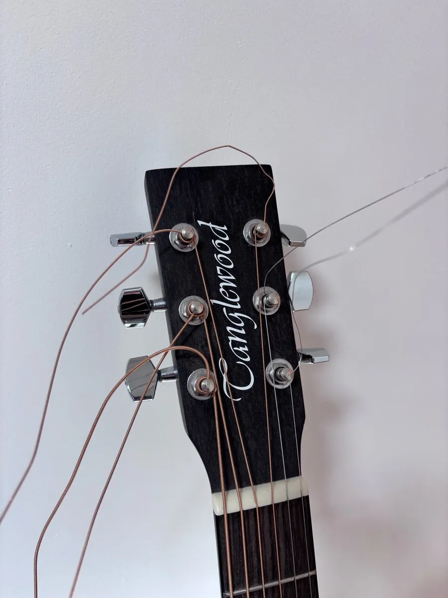 Tanglewood Blackwood Acoustic Guitar - Image 2