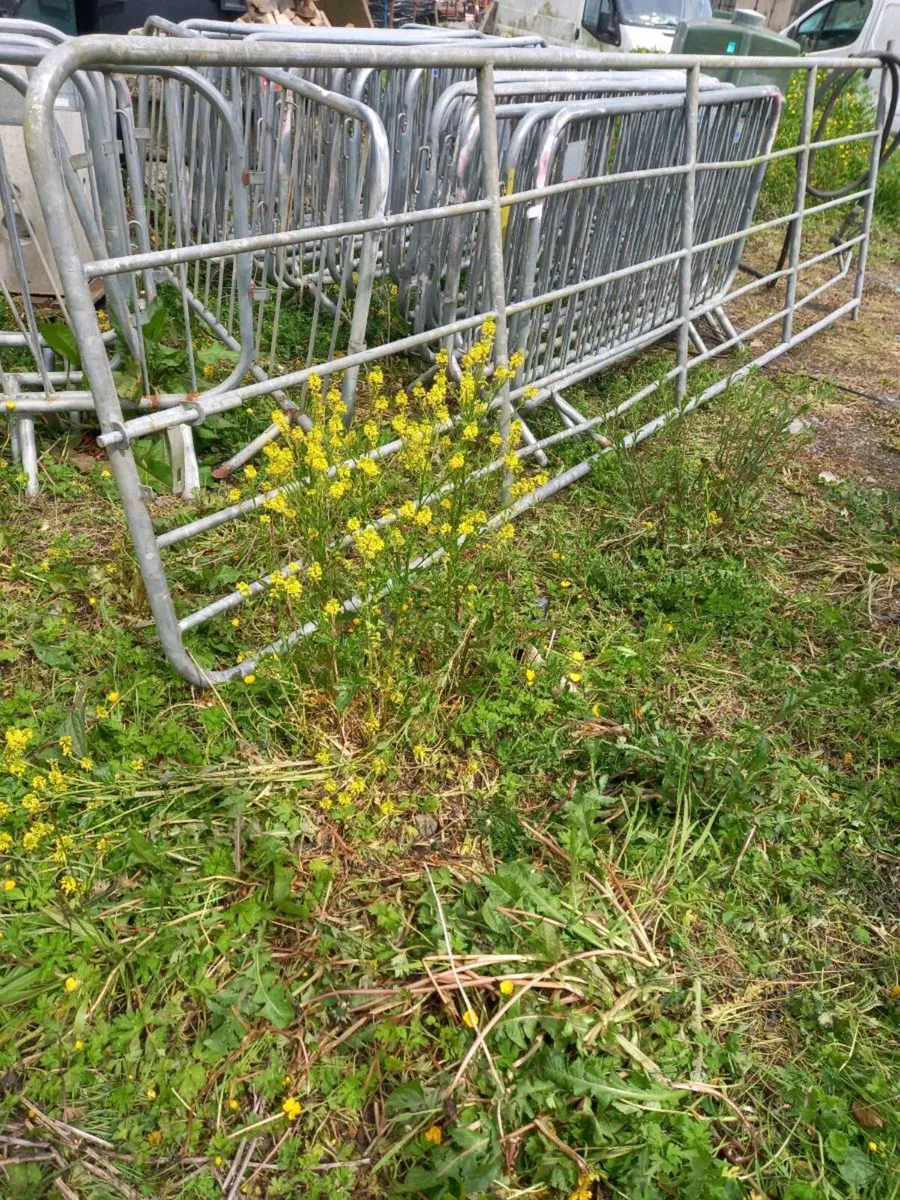 Long farm gate 2nd hand for sale