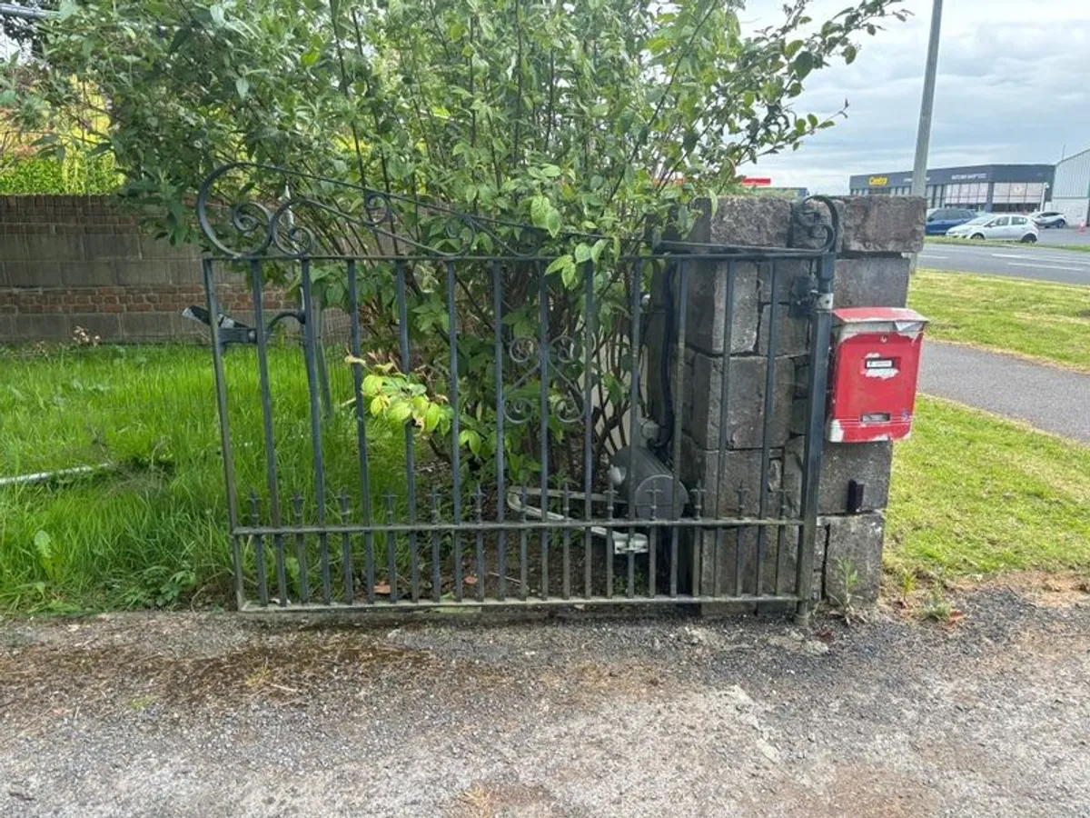 Electric Gates - Image 3