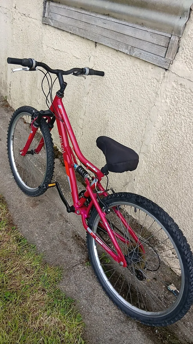 Girls bike (suits ages 11 to 14) - Image 2
