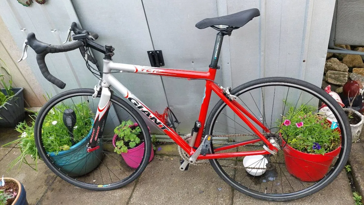 Giant TCR Compact Road Bike + indoor Trainer - Image 2