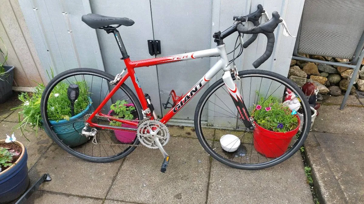 Giant TCR Compact Road Bike + indoor Trainer - Image 3