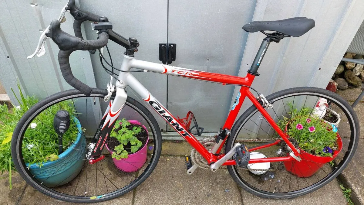Giant TCR Compact Road Bike + indoor Trainer - Image 4
