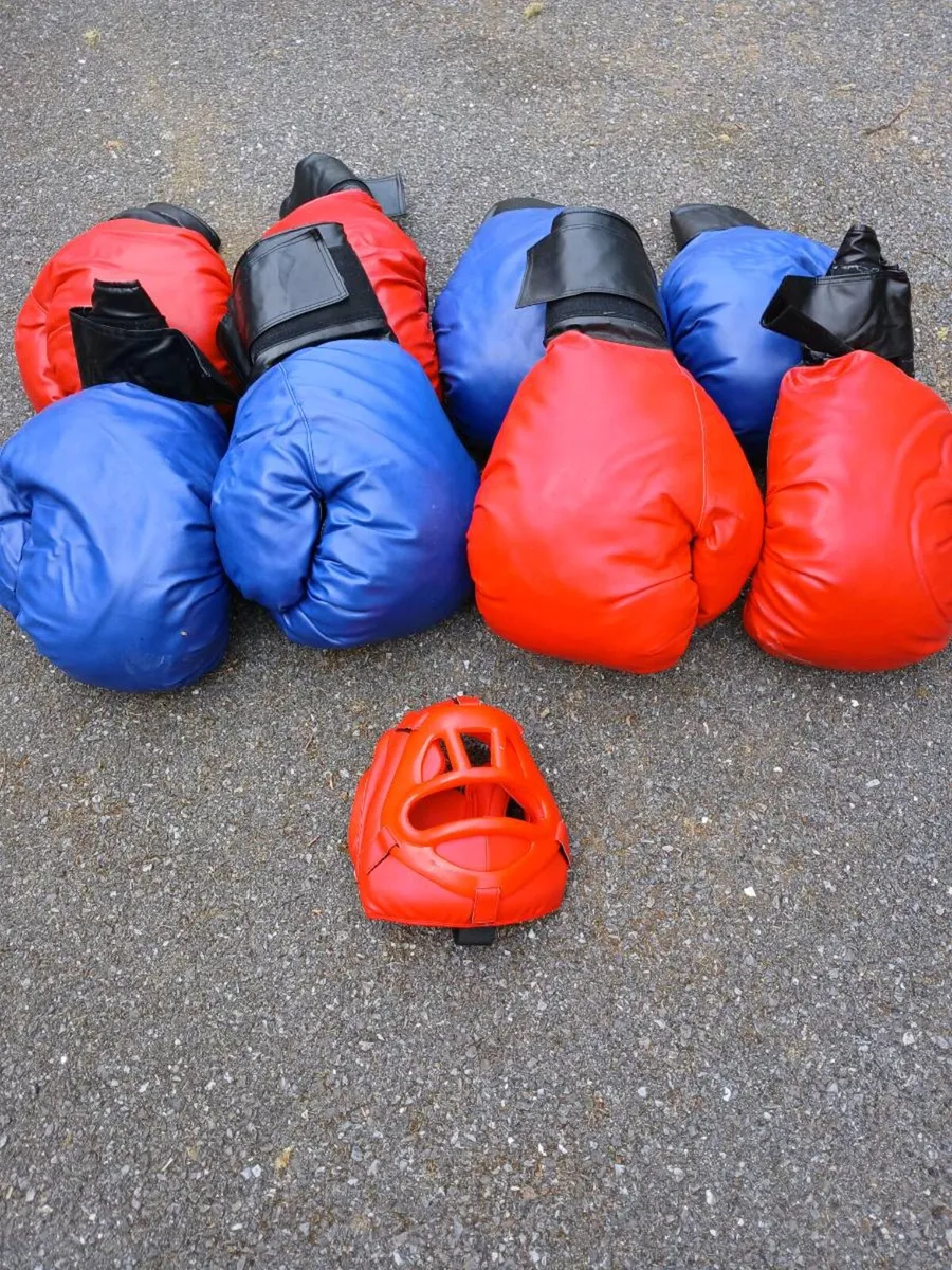 Giant foam boxing gloves - Image 1