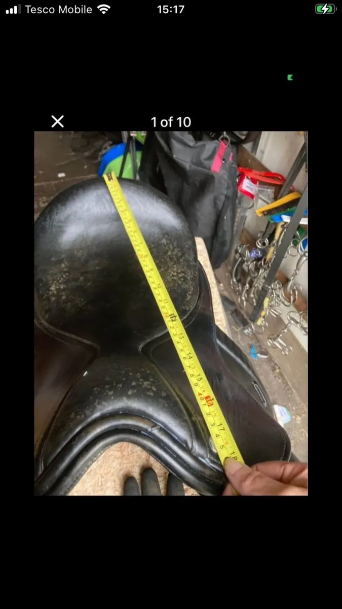 Saddle - Image 2