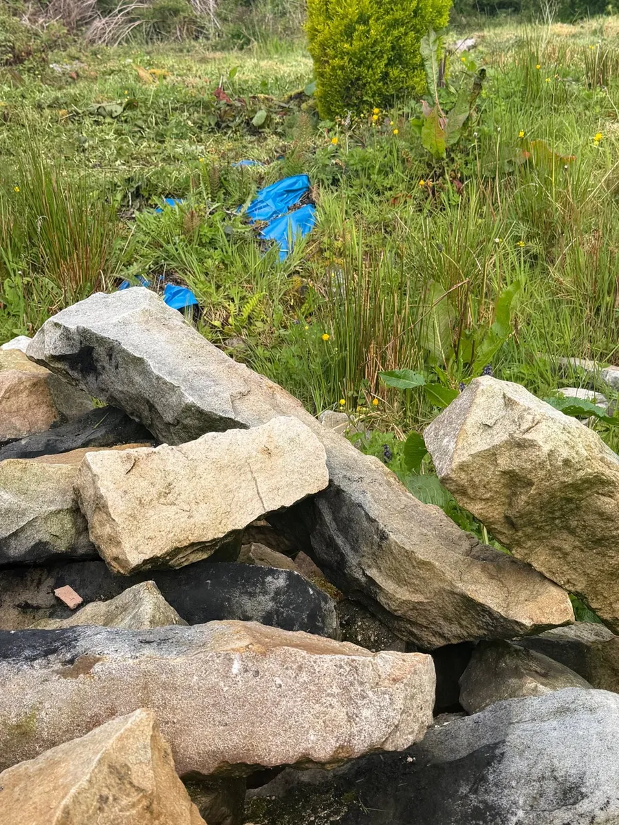 Large amount of reclaimed 1800s stone - Image 2