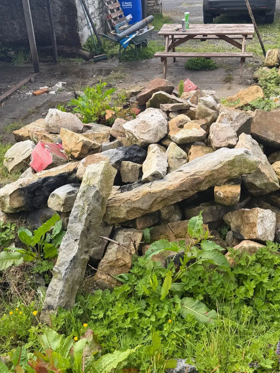 Large amount of reclaimed 1800s stone - Image 1