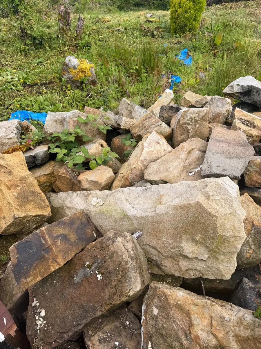 Large amount of reclaimed 1800s stone - Image 4