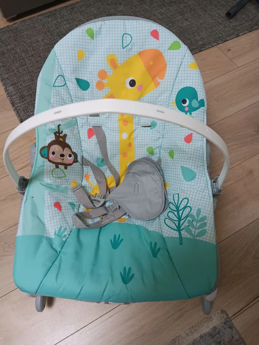 Bouncy chair - Image 1