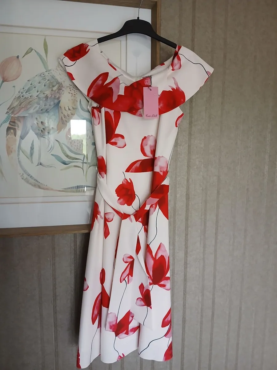 Occasion dress brand new with tags - Image 1