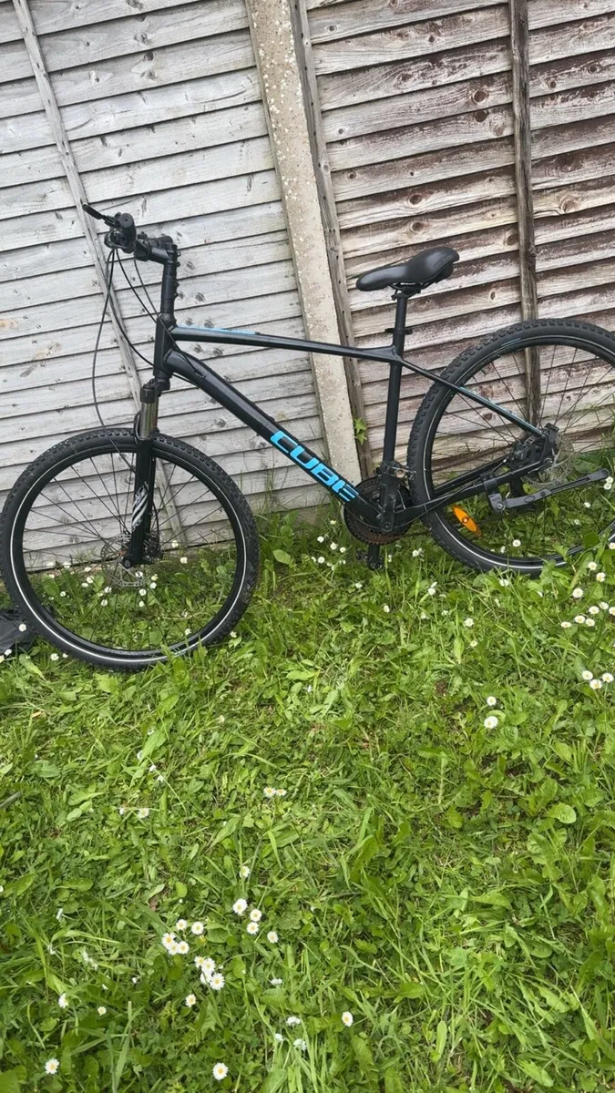 Mountain bike - Image 1