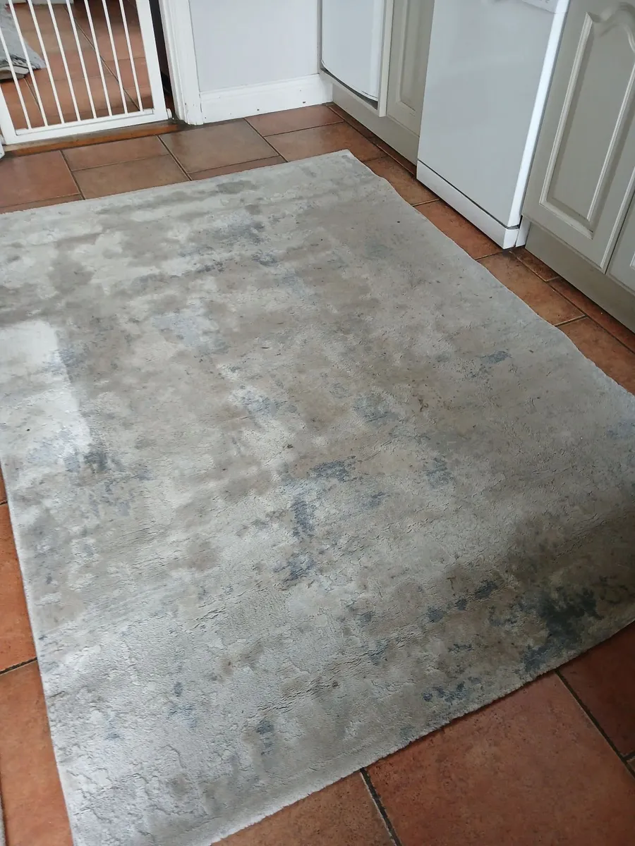 Fireside rug - Image 1