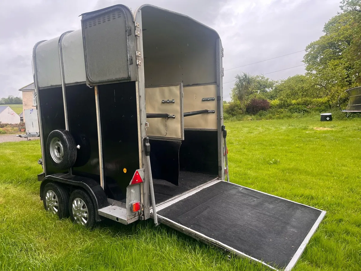 Ifor williams double Horsebox. - Image 4