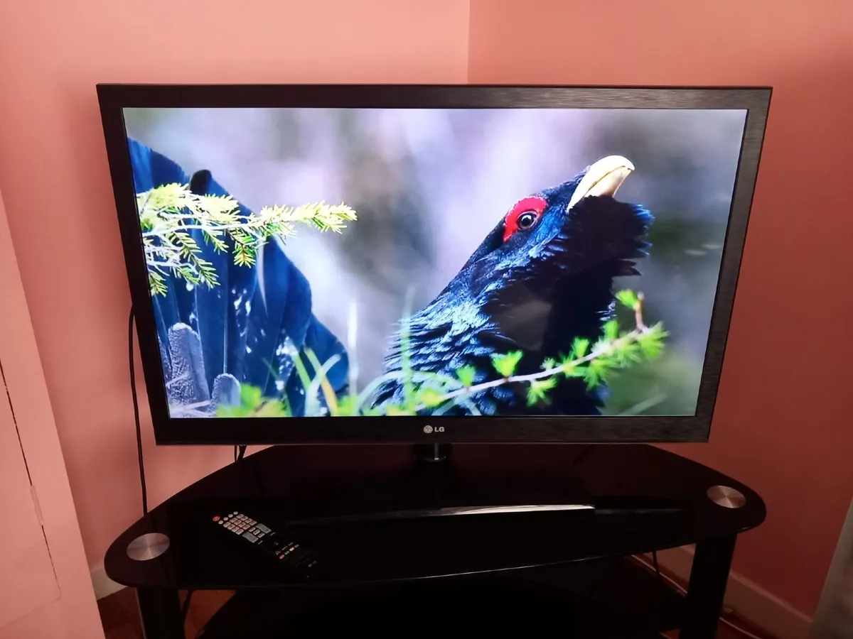 42 inch non smart T.V. - Image 3