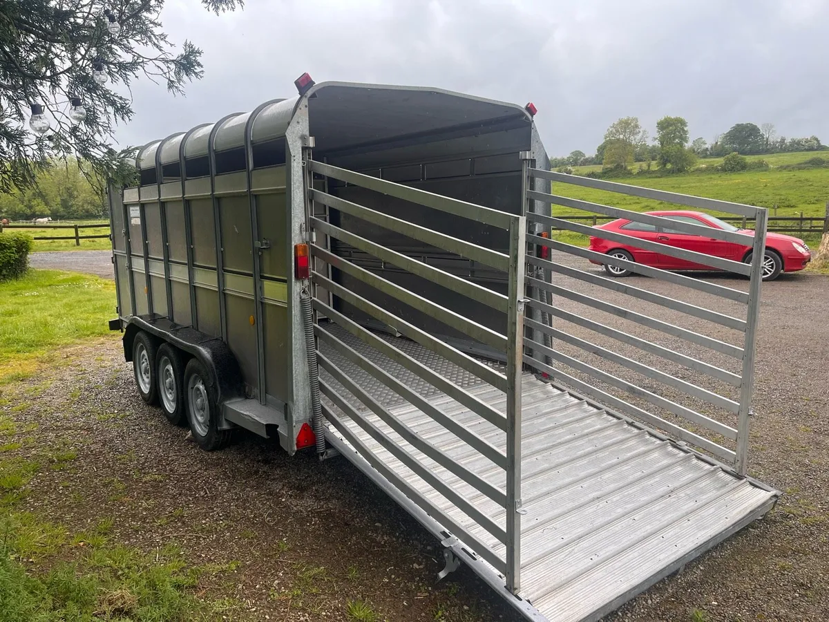 Ifor Williams TriAxel Cattlebox - Image 4